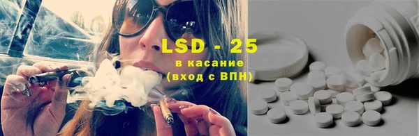 ПСИЛОЦИБИНОВЫЕ ГРИБЫ Алзамай
