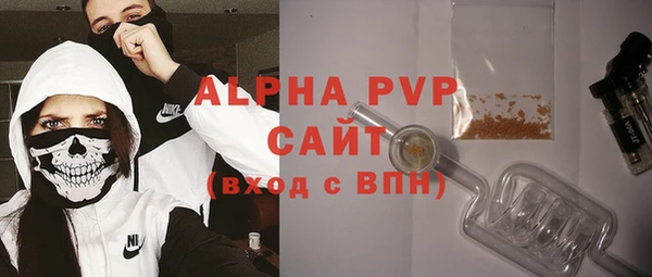 крисы Алексин